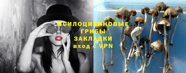 крисы Алексеевка