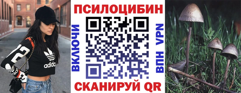 Псилоцибиновые грибы MAGIC MUSHROOMS  Пласт 